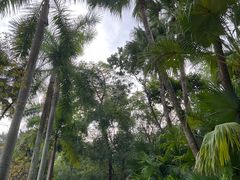 -深圳华侨城洲际大酒店