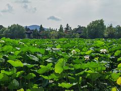 -云龙湖旅游景区