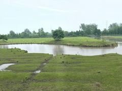 -溱湖国家湿地公园