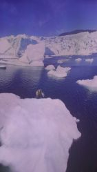 -翱翔飞越地平线