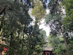 -成都武侯祠博物馆