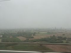 -迎宾楼(解放西街店)