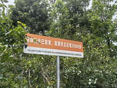 -西双版纳基诺山寨