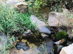 -碓臼峪自然风景区