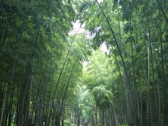 -同里国家湿地公园
