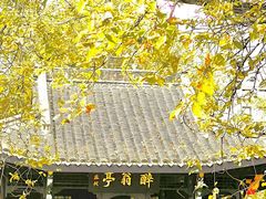 -东北农业大学