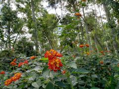 -福建鲤鱼洲酒店