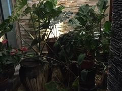 -苏沐堂全息足浴·SPA·按摩(万科美好广场店)