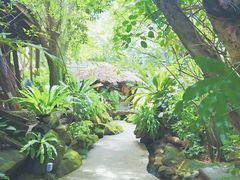 -绿光森林餐厅