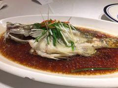 -老人和饭店(淮海中路店)