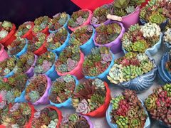 -重庆市江北嘴中央商务区中央公园