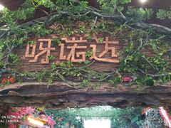 -呀诺达热带雨林