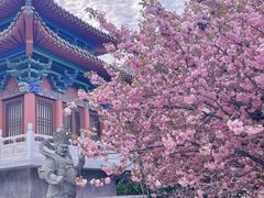 -石岛赤山风景区