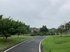 -宜兴龙背山森林公园