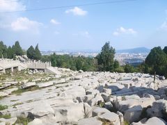 -原山国家森林公园