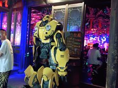 -周庄红庭演艺酒吧