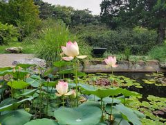 -国家植物园南园