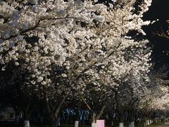 -龙美术馆(西岸馆)