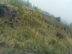 -天山天池风景区-西王母祖庙