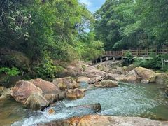 -广州白江湖森林公园