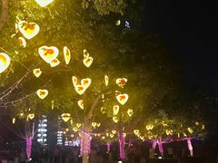 -秋水广场音乐喷泉