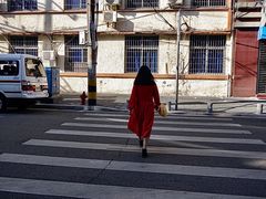 -溪岸路花鸟市场