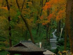 -永泉忆江南12景区