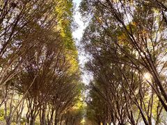 -水磨沟公园