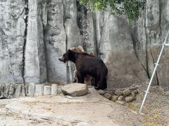 -泉州海丝野生动物世界
