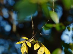 -丝绸小镇荻港古村