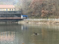 -金石滩蓝莓谷庄园