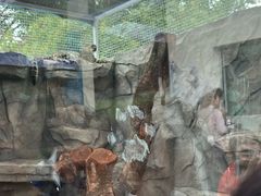 -青藏高原野生动物园