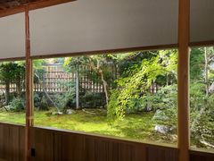 -西芳寺(苔寺)