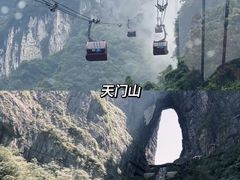 -张家界天门山国家森林公园