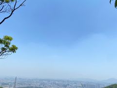 -阳台山森林公园
