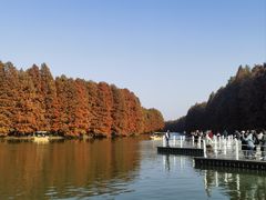 -上海海湾国家森林公园