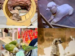 -正佳雨林生态植物园