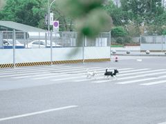 -大龙山(地铁站)