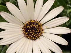 -香炉礁家具市场