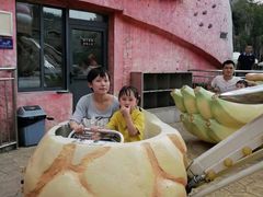 -南京银杏湖乐园