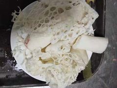竹荪-东巴谷野生菌火锅餐厅