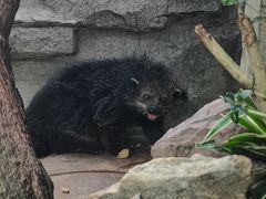 -广州长隆飞鸟乐园