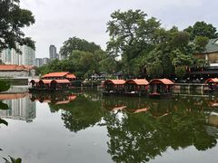 -侨美·唐荔园·40年地道粤菜