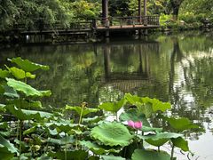 -浙江西子宾馆·牡丹厅