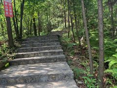 -梭布垭石林景区