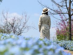 -上海辰山植物园