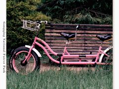 -上海共青森林公园