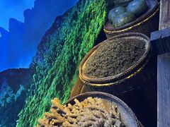 -凤凰山斑鱼馆(恭城店)