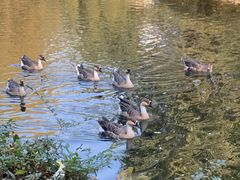 -长白岛森林公园