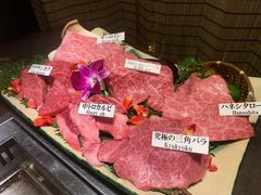 松阪牛肉拼盘-松阪牛焼肉M(法善寺横丁店)